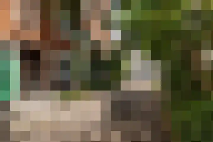 Kleine Appelstraat 3 a Groningen thumbnail 5