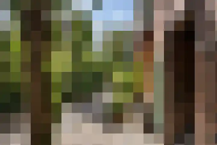 Kleine Appelstraat 3 a Groningen thumbnail 7