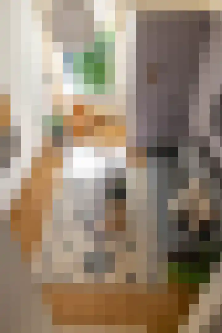 Kleine Appelstraat 7 Groningen thumbnail 10