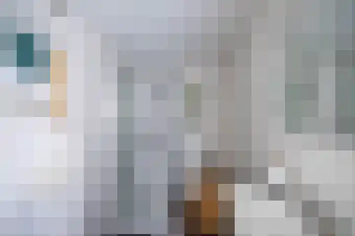 Kleine Appelstraat 7 Groningen thumbnail 15