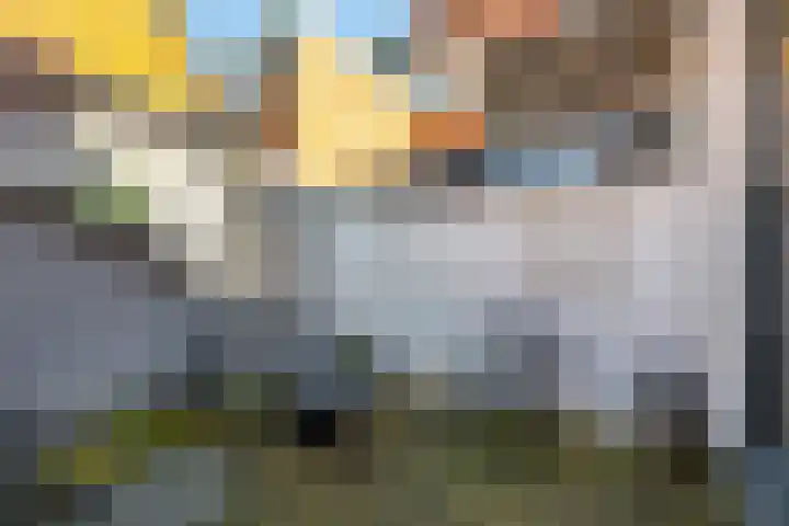Kleine Appelstraat 7 Groningen thumbnail 4