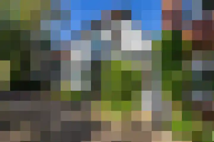 Kleine Appelstraat 7 Groningen thumbnail 5