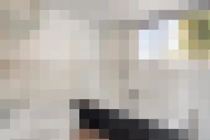 Kleine Baan 1 Zwolle thumbnail 16