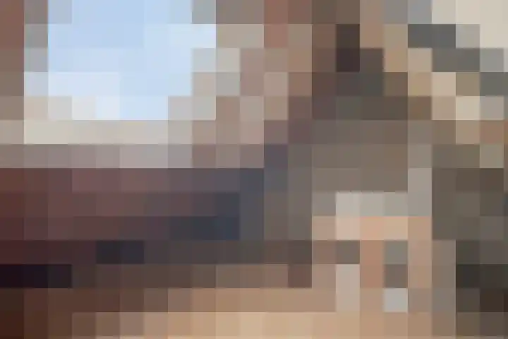 Kleine Baan 1 Zwolle thumbnail 19