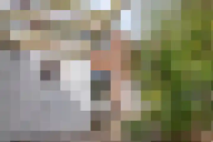 Kleine Baan 1 Zwolle thumbnail 21