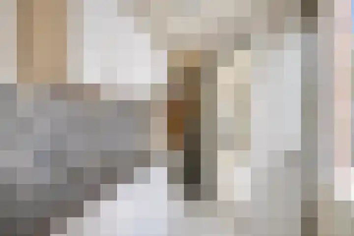 Kleine Baan 1 Zwolle thumbnail 8