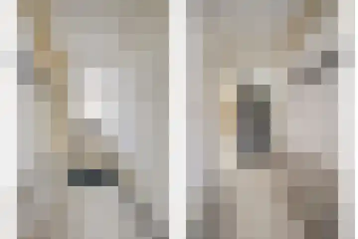 Kleine Baan 1 Zwolle thumbnail 9