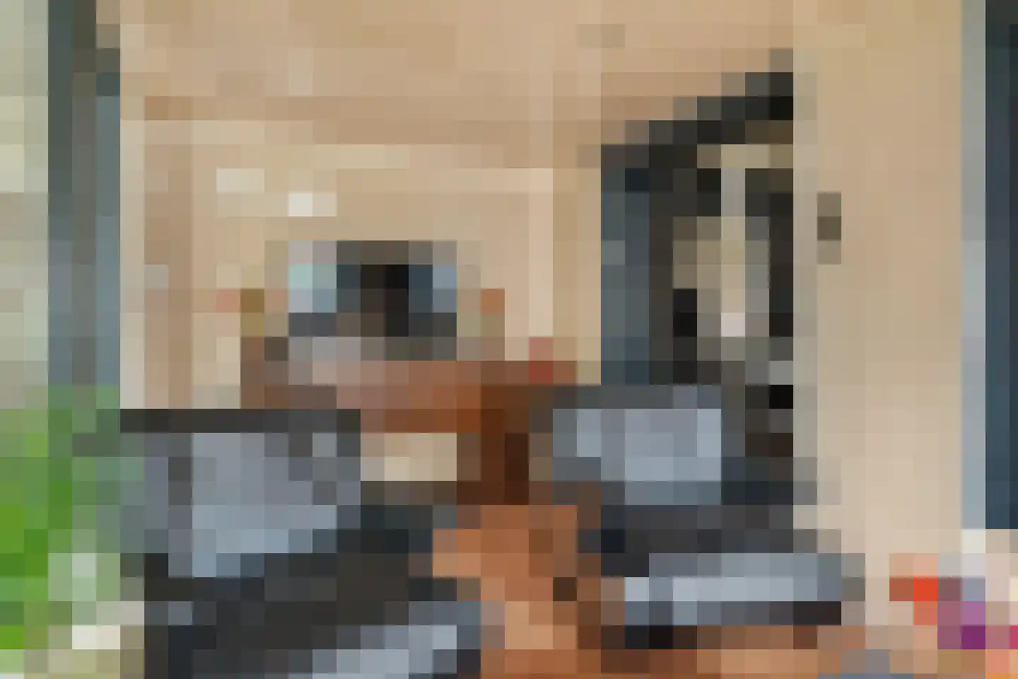 Kleine Baan 22 Zwolle thumbnail 17