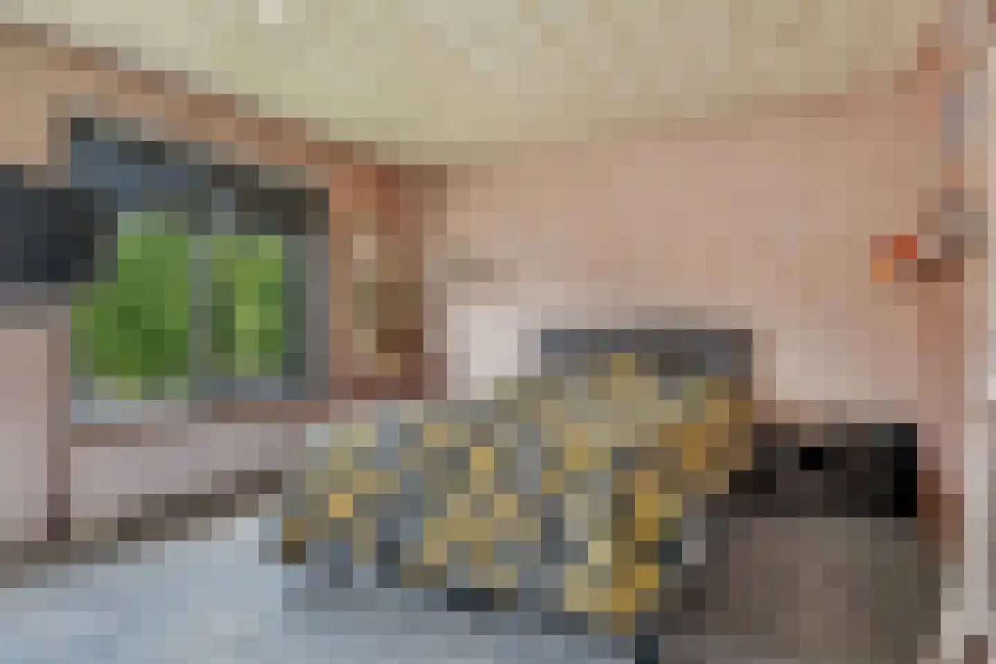 Kleine Baan 22 Zwolle thumbnail 26