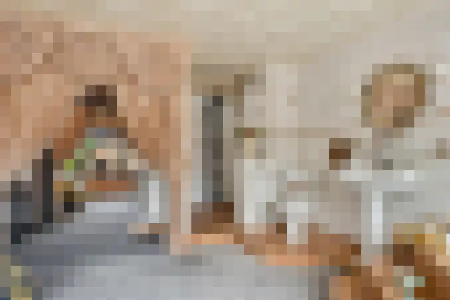 Kleine Baan 22 Zwolle thumbnail 30