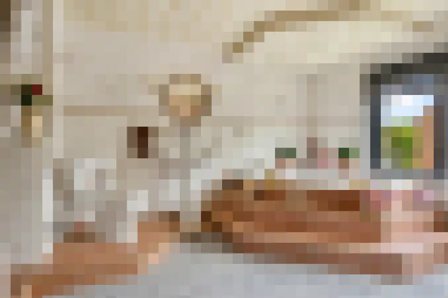 Kleine Baan 22 Zwolle thumbnail 31