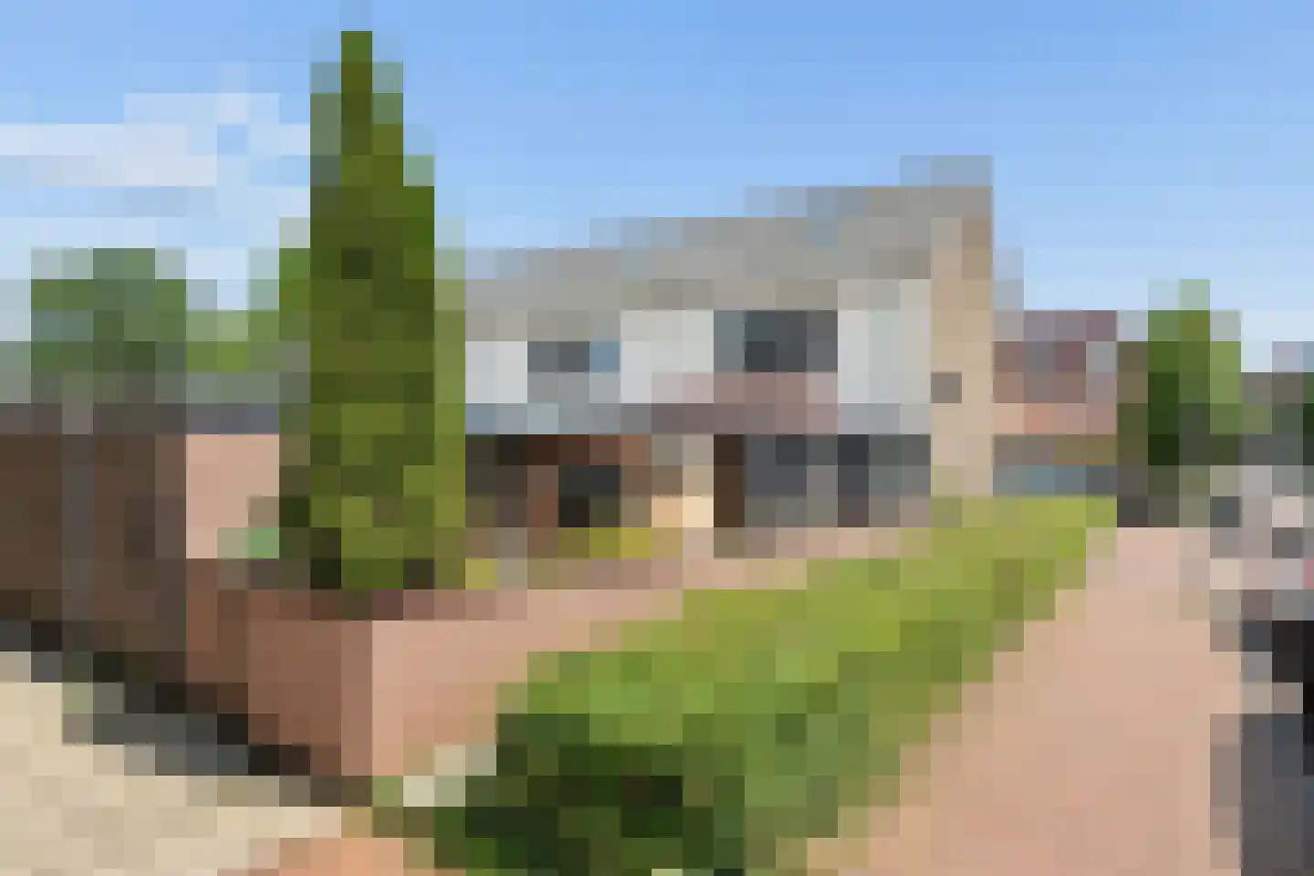 Kleine Baan 22 Zwolle thumbnail 43