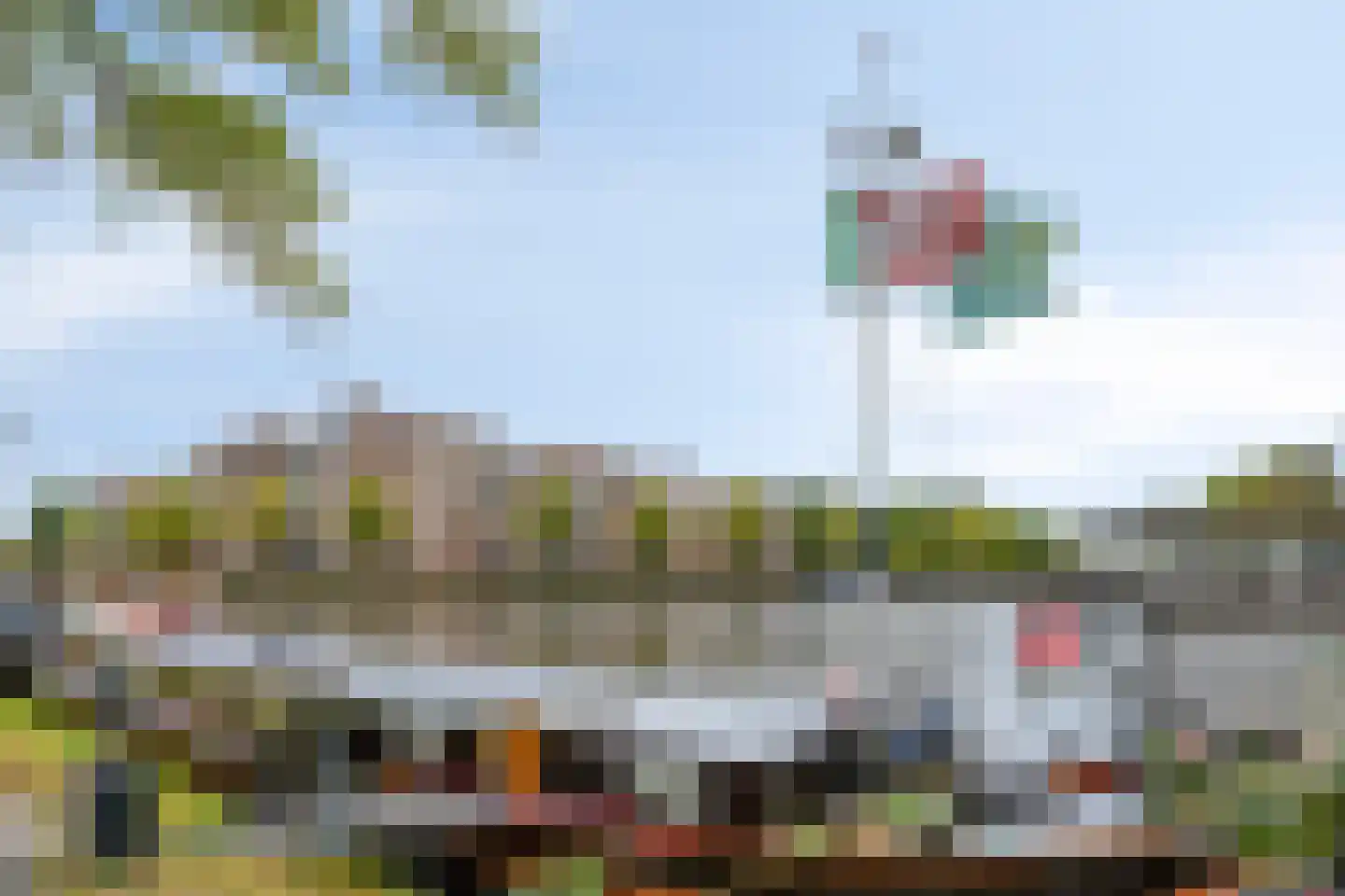 Kleine Badstraat 11 Groningen thumbnail 47