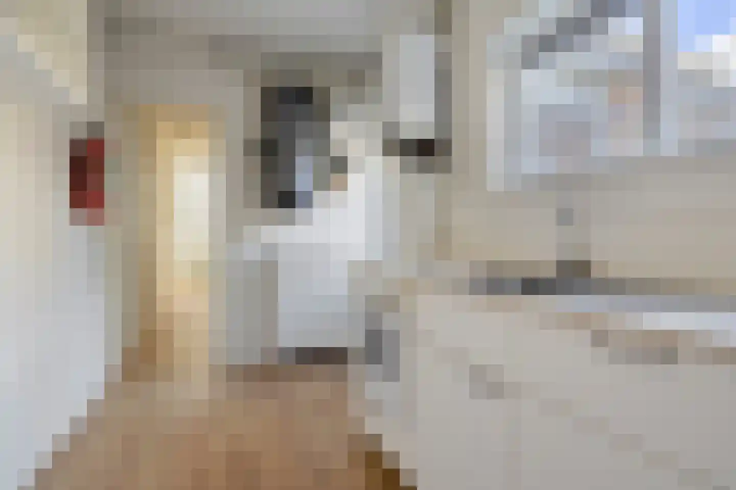 Kleine Badstraat 13 Groningen thumbnail 11