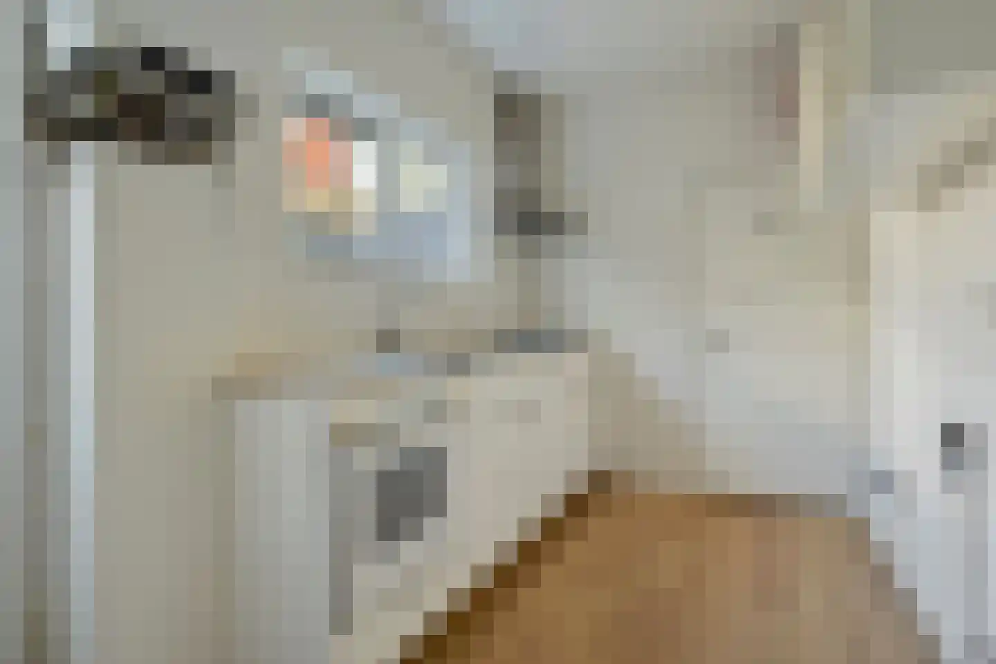 Kleine Badstraat 13 Groningen thumbnail 12