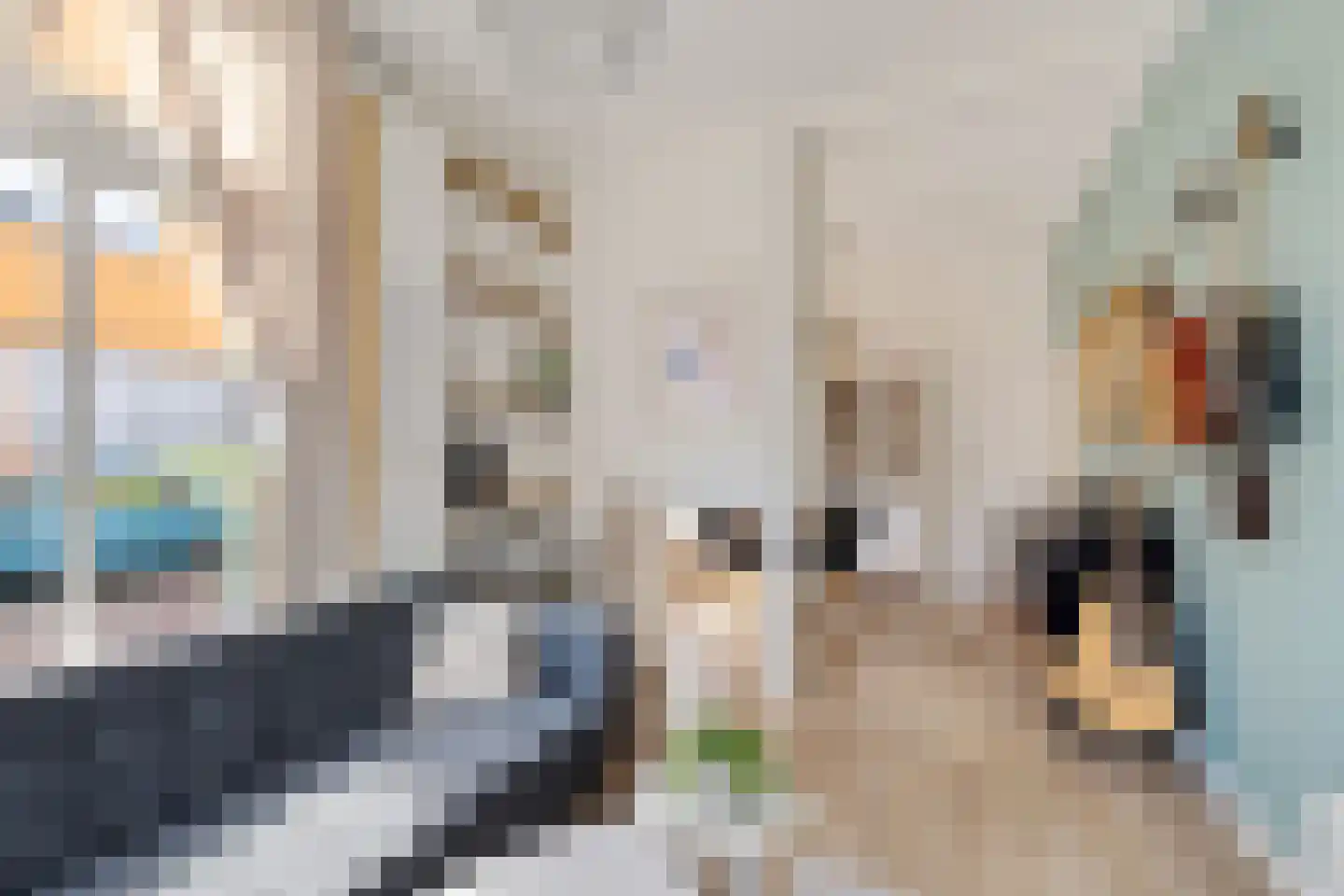 Kleine Badstraat 19 Groningen thumbnail 16