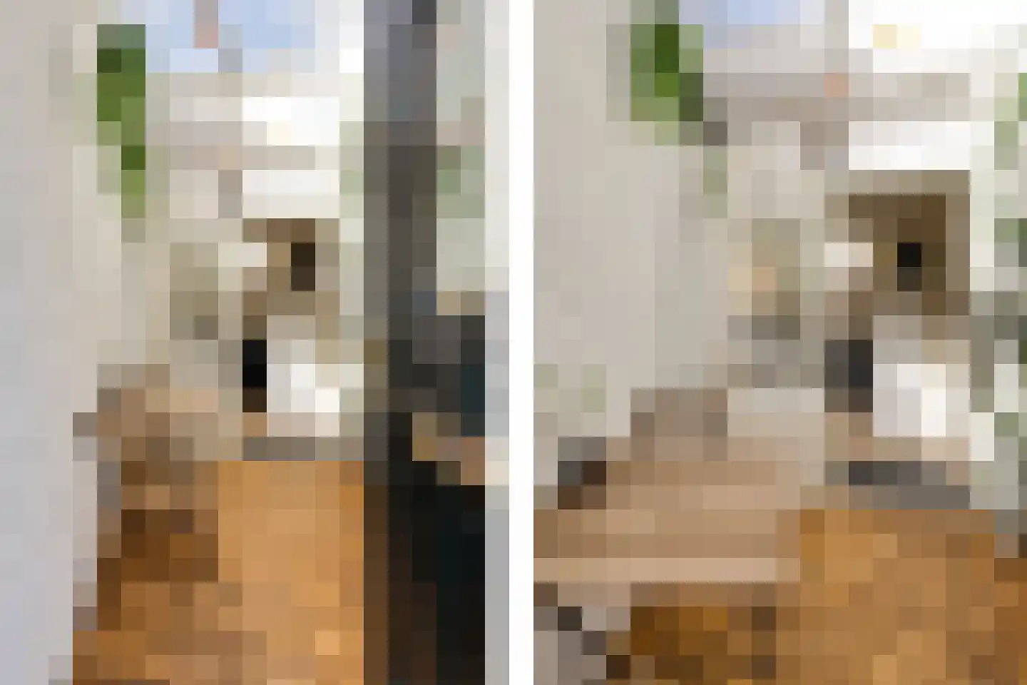 Kleine Badstraat 19 Groningen thumbnail 26