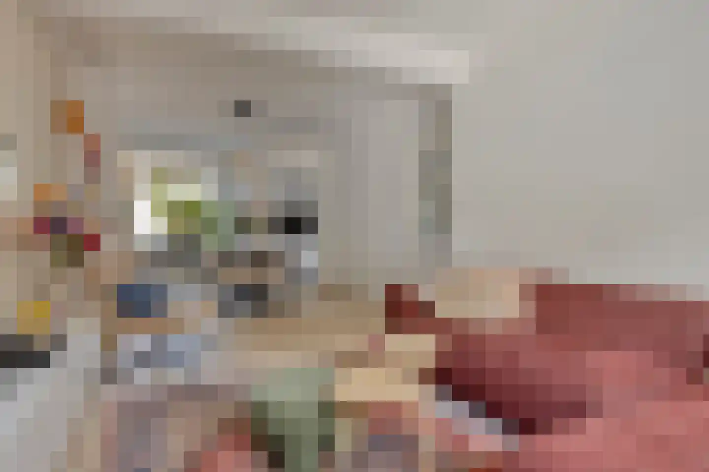 Kleine Bagijnestraat 13 A Hulst thumbnail 11