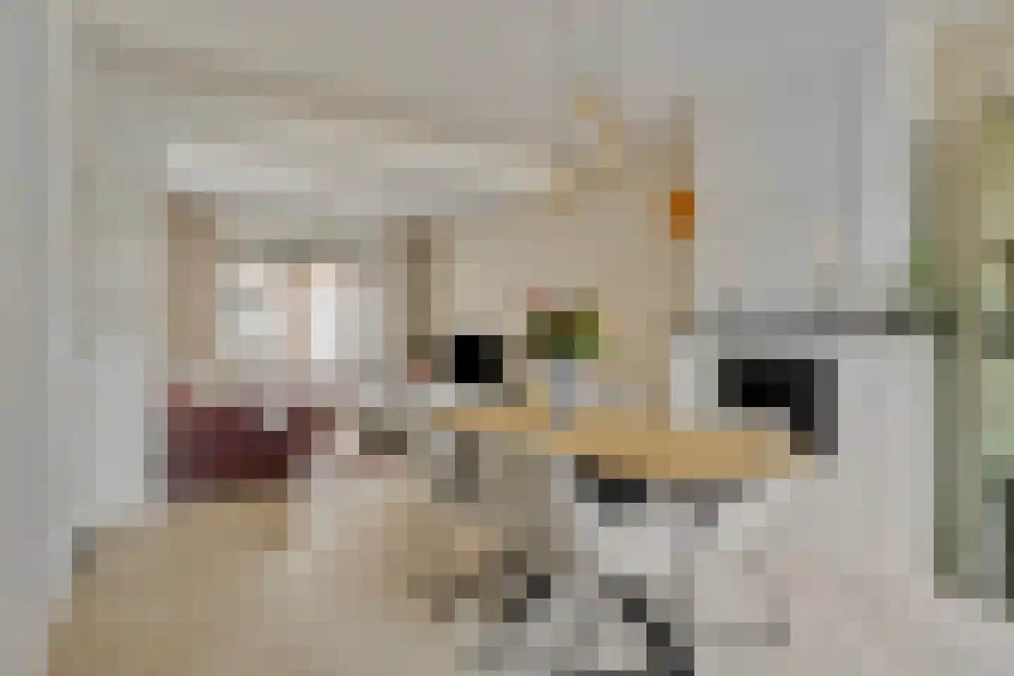 Kleine Bagijnestraat 13 A Hulst thumbnail 13