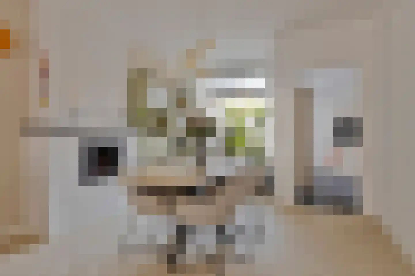 Kleine Bagijnestraat 13 A Hulst thumbnail 14