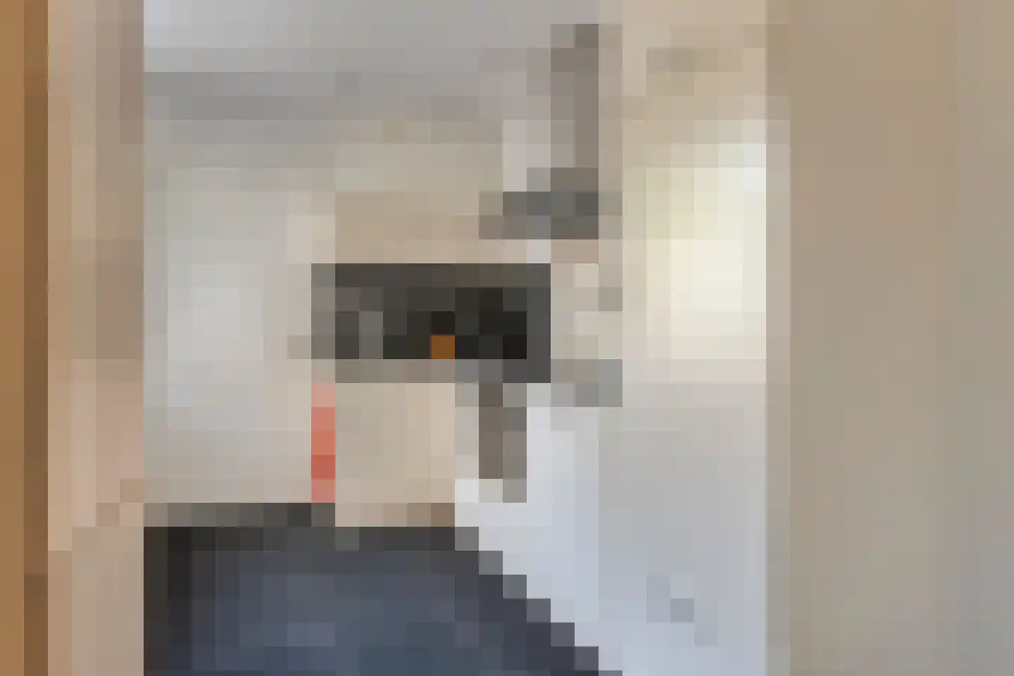 Kleine Bagijnestraat 13 A Hulst thumbnail 15