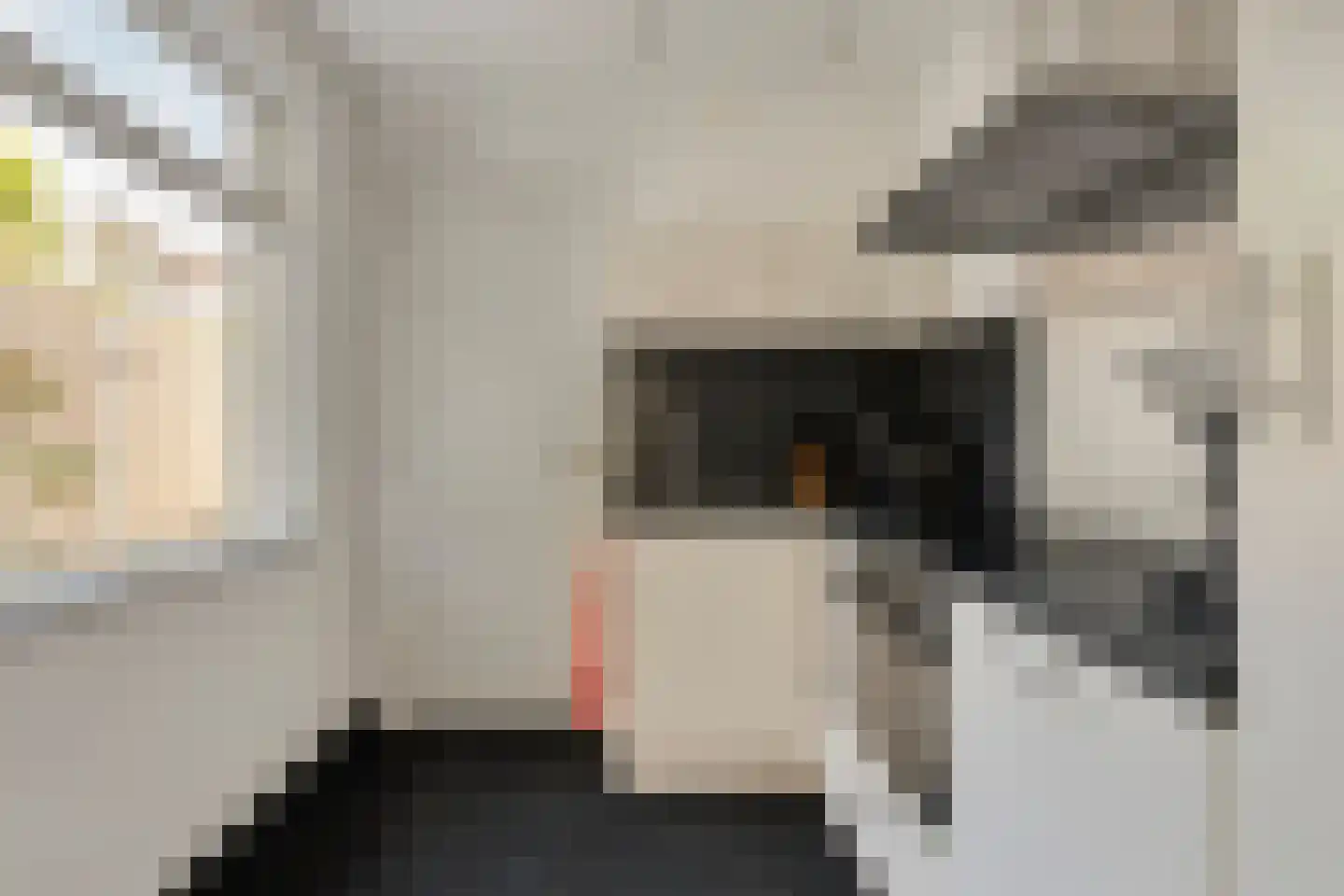 Kleine Bagijnestraat 13 A Hulst thumbnail 16