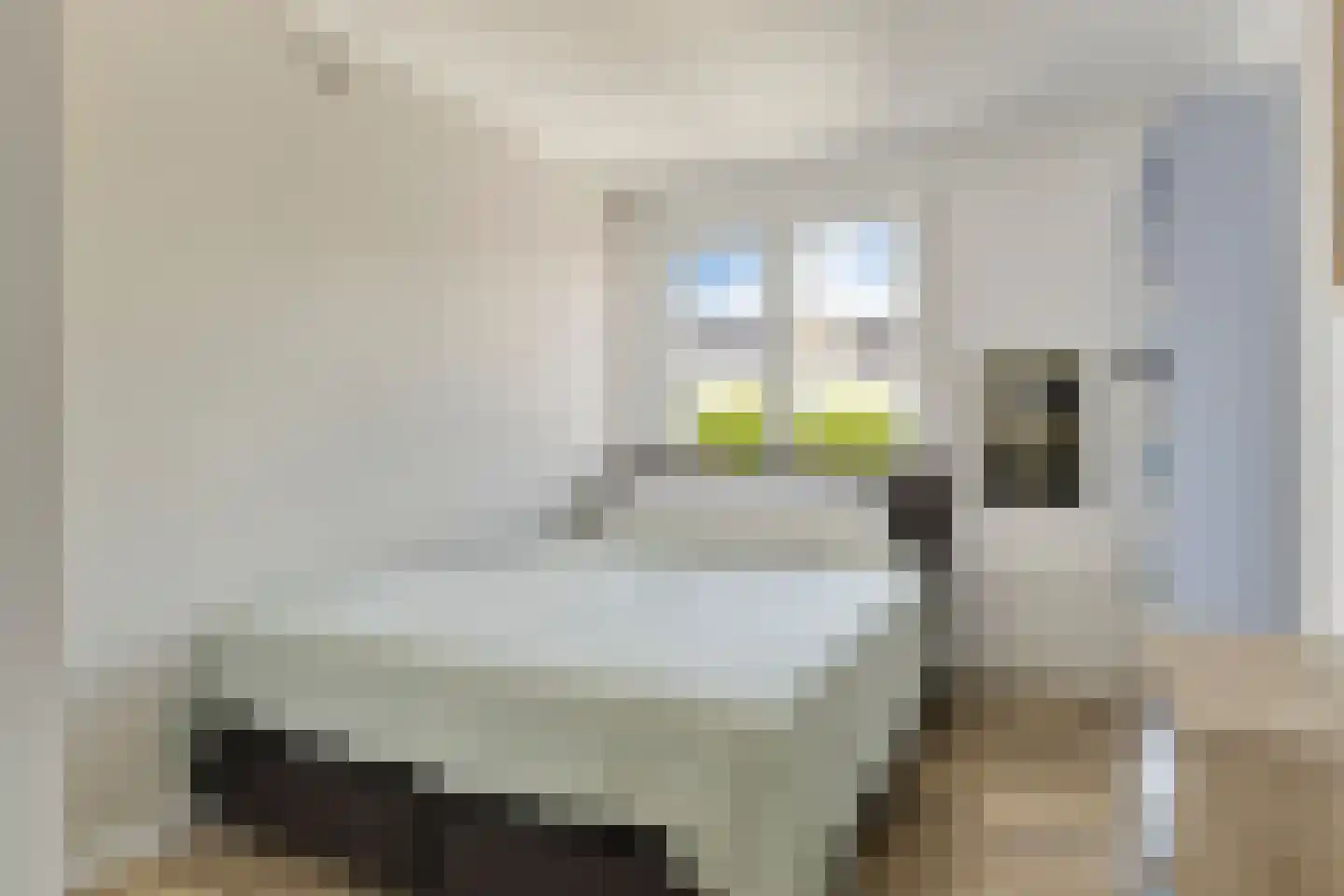 Kleine Bagijnestraat 13 A Hulst thumbnail 26