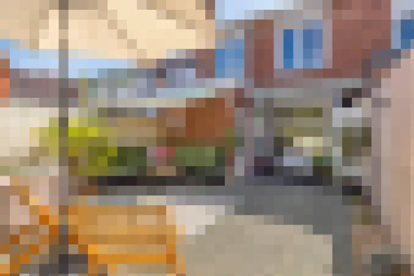 Kleine Bagijnestraat 13 A Hulst thumbnail 35