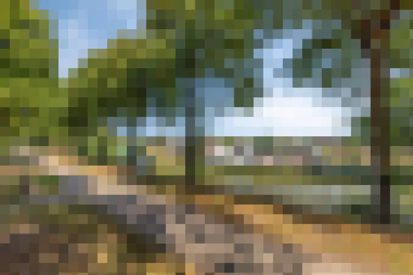Kleine Bagijnestraat 13 A Hulst thumbnail 49