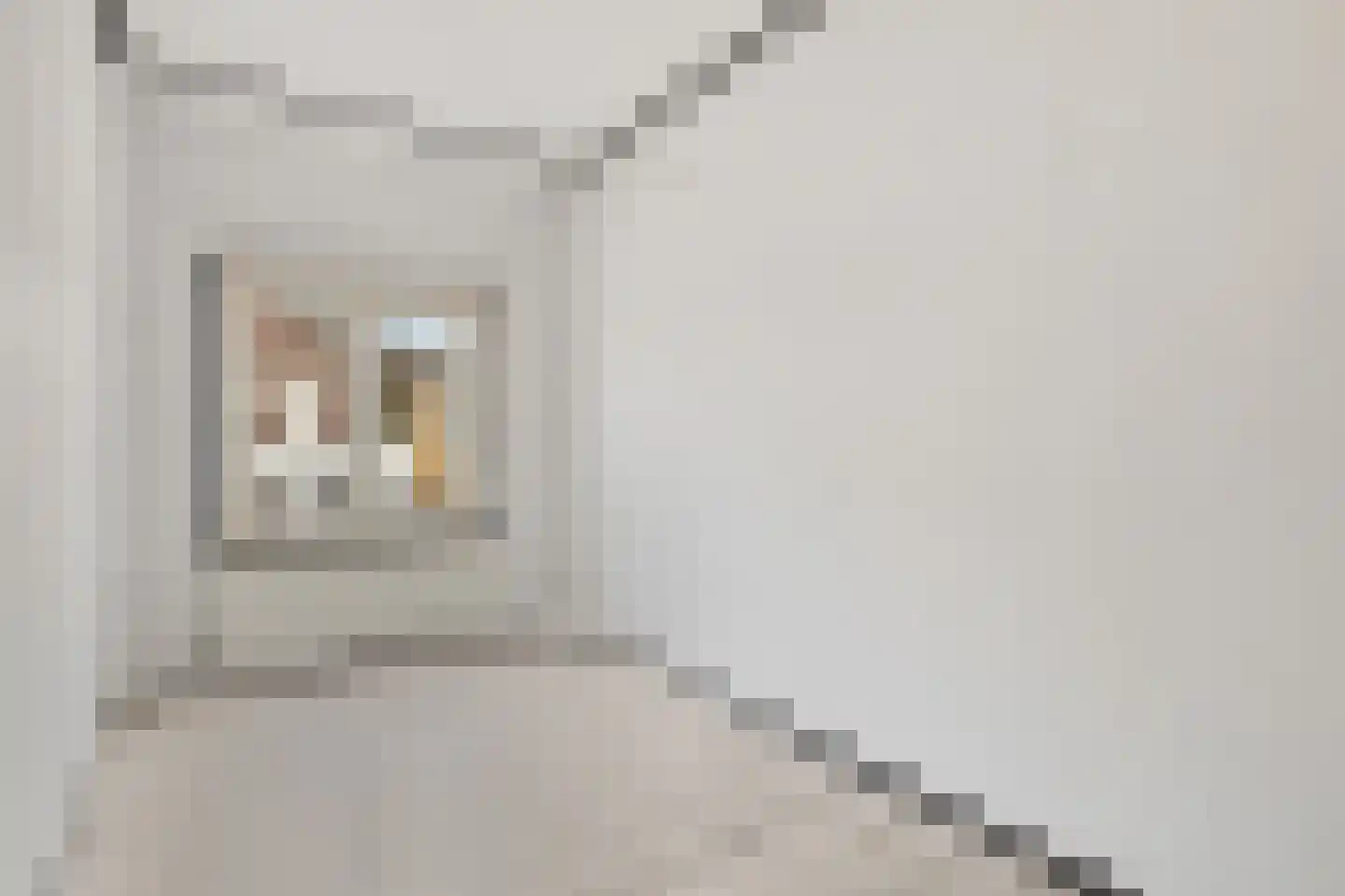 Kleine Bagijnestraat 29 Hulst thumbnail 15