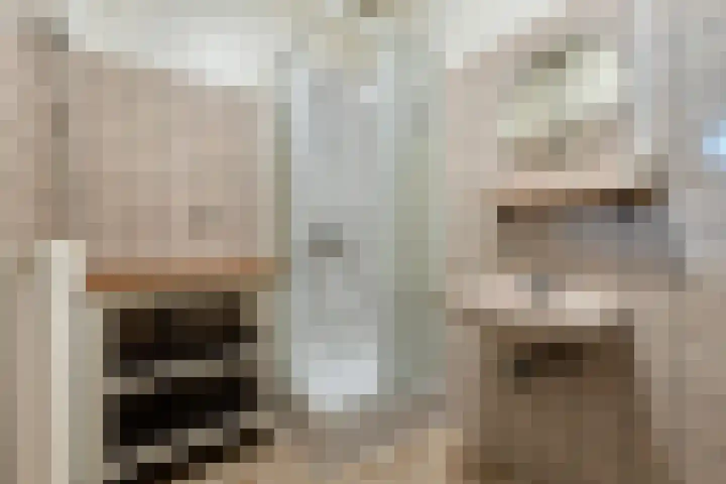 Kleine Bagijnestraat 29 Hulst thumbnail 18