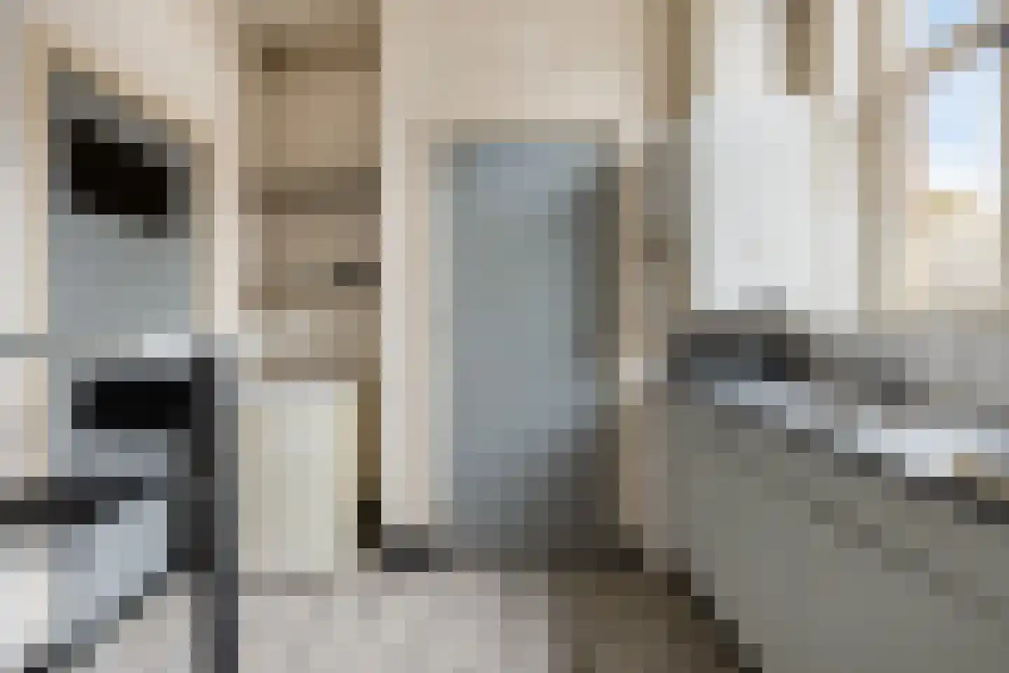 Kleine Bagijnestraat 29 Hulst thumbnail 8