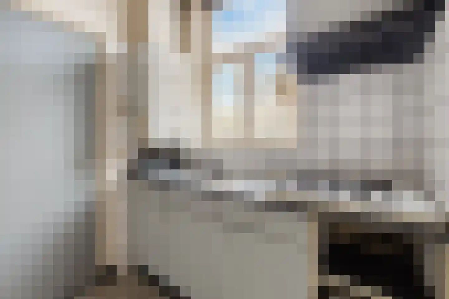 Kleine Bagijnestraat 29 Hulst thumbnail 9
