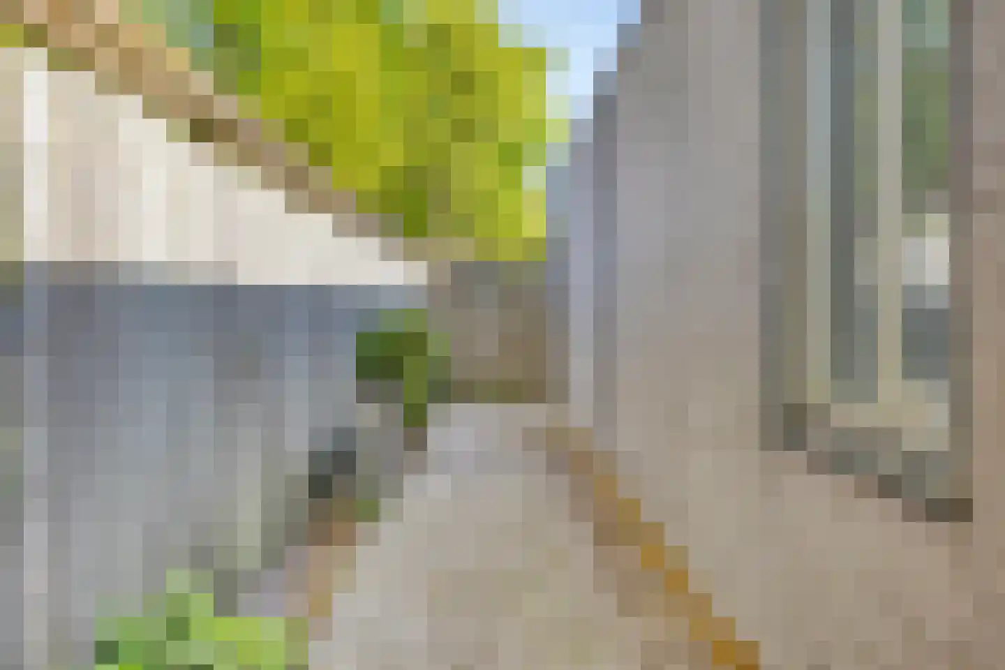 Kleine Beek 7 Sint-Michielsgestel thumbnail 33