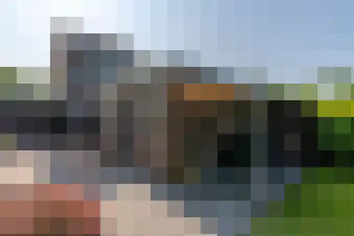 Kleine Beekstraat 15 Sint Anthonis thumbnail 18