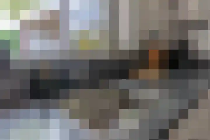Kleine Beekstraat 15 Sint Anthonis thumbnail 30