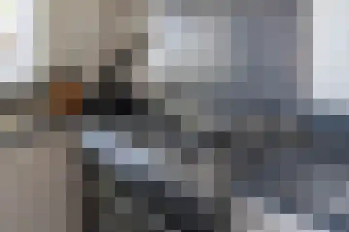 Kleine Beekstraat 15 Sint Anthonis thumbnail 31