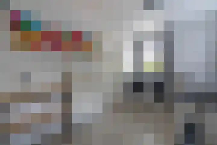 Kleine Beekstraat 15 Sint Anthonis thumbnail 33