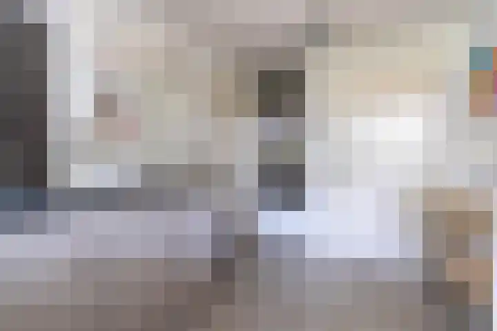 Kleine Beekstraat 15 Sint Anthonis thumbnail 34