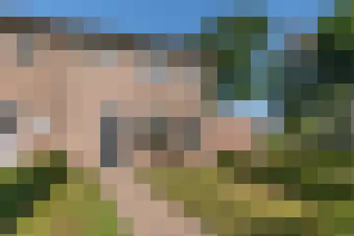 Kleine Beekstraat 15 Sint Anthonis thumbnail 5