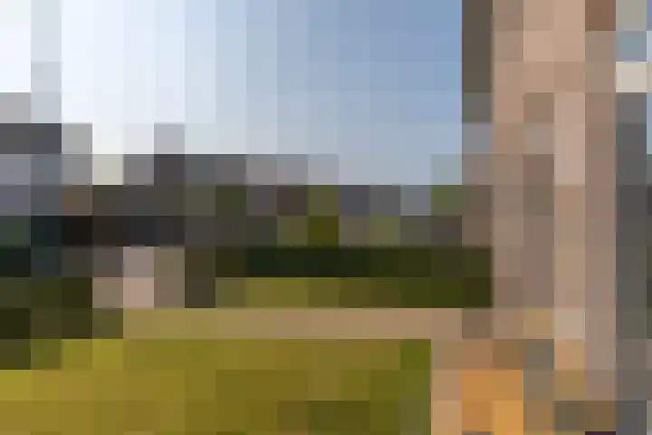 Kleine Beekstraat 15 Sint Anthonis thumbnail 6