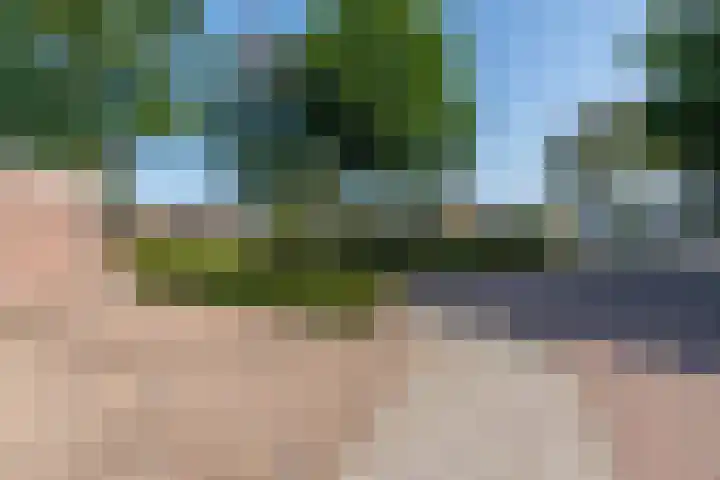 Kleine Beekstraat 15 Sint Anthonis thumbnail 7