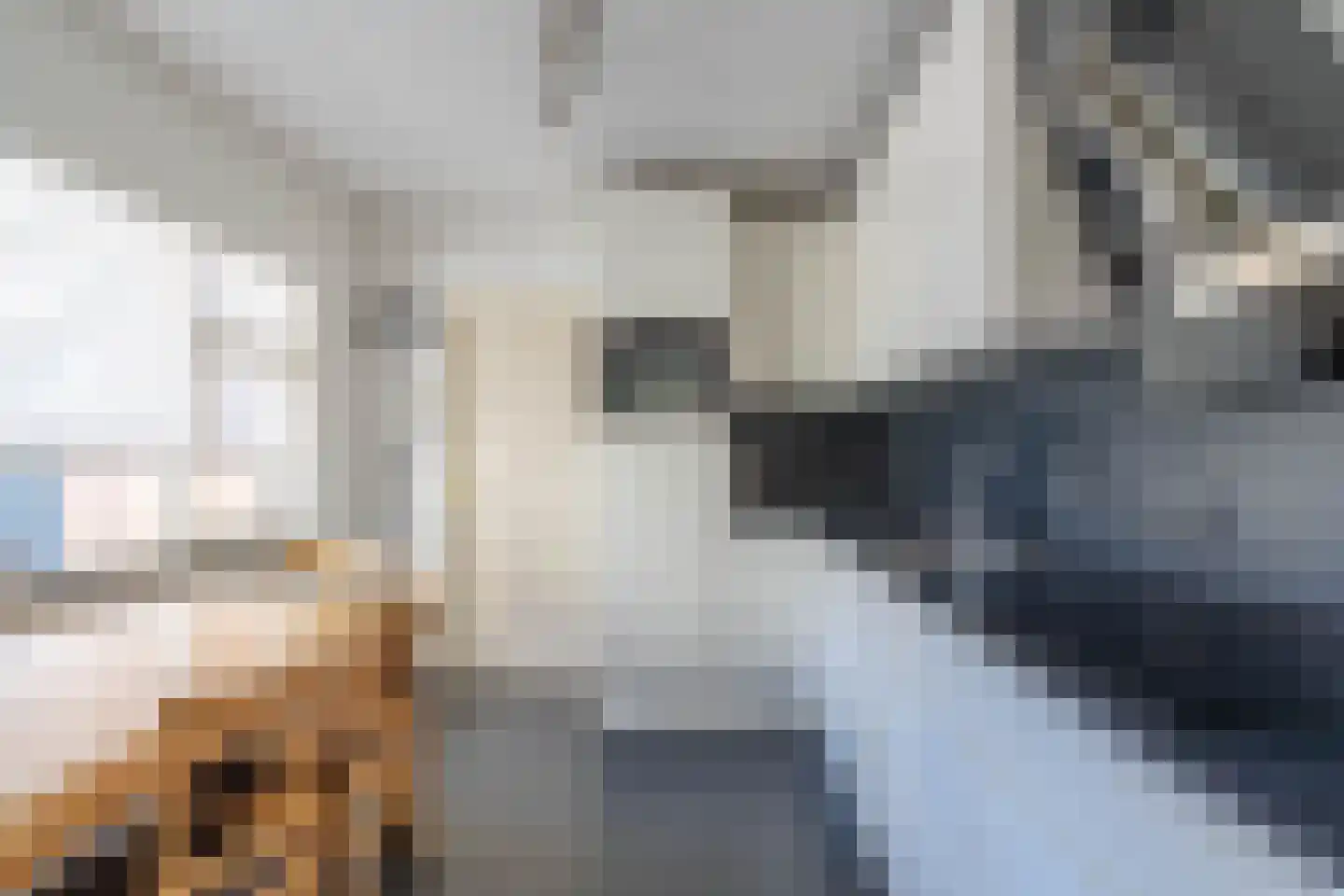 Kleine Beekstraat 20 Sint Anthonis thumbnail 20