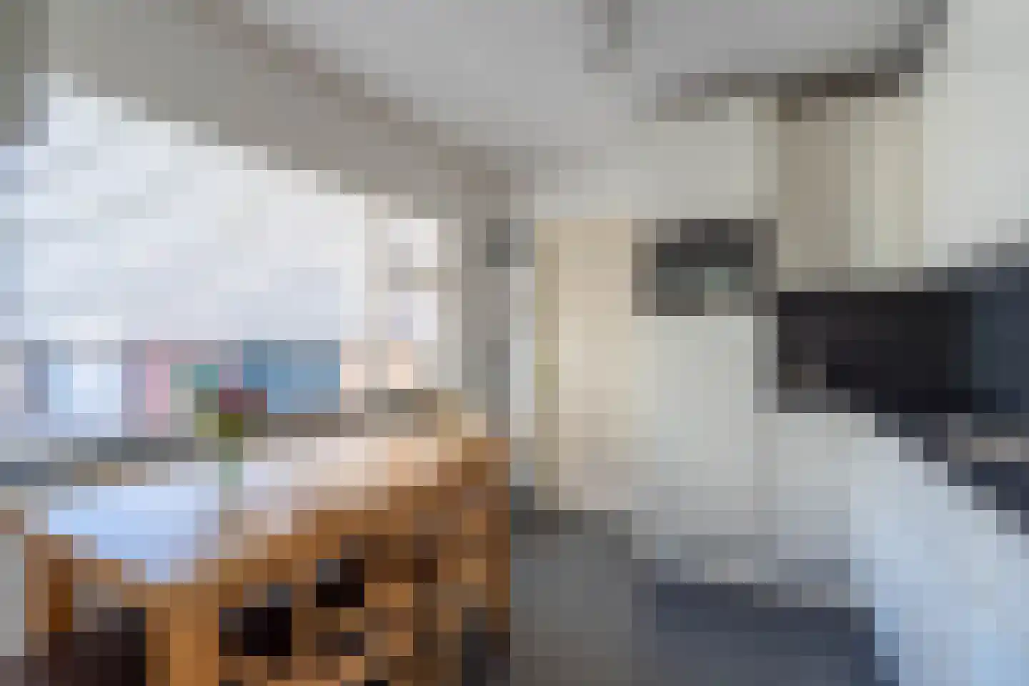 Kleine Beekstraat 20 Sint Anthonis thumbnail 21