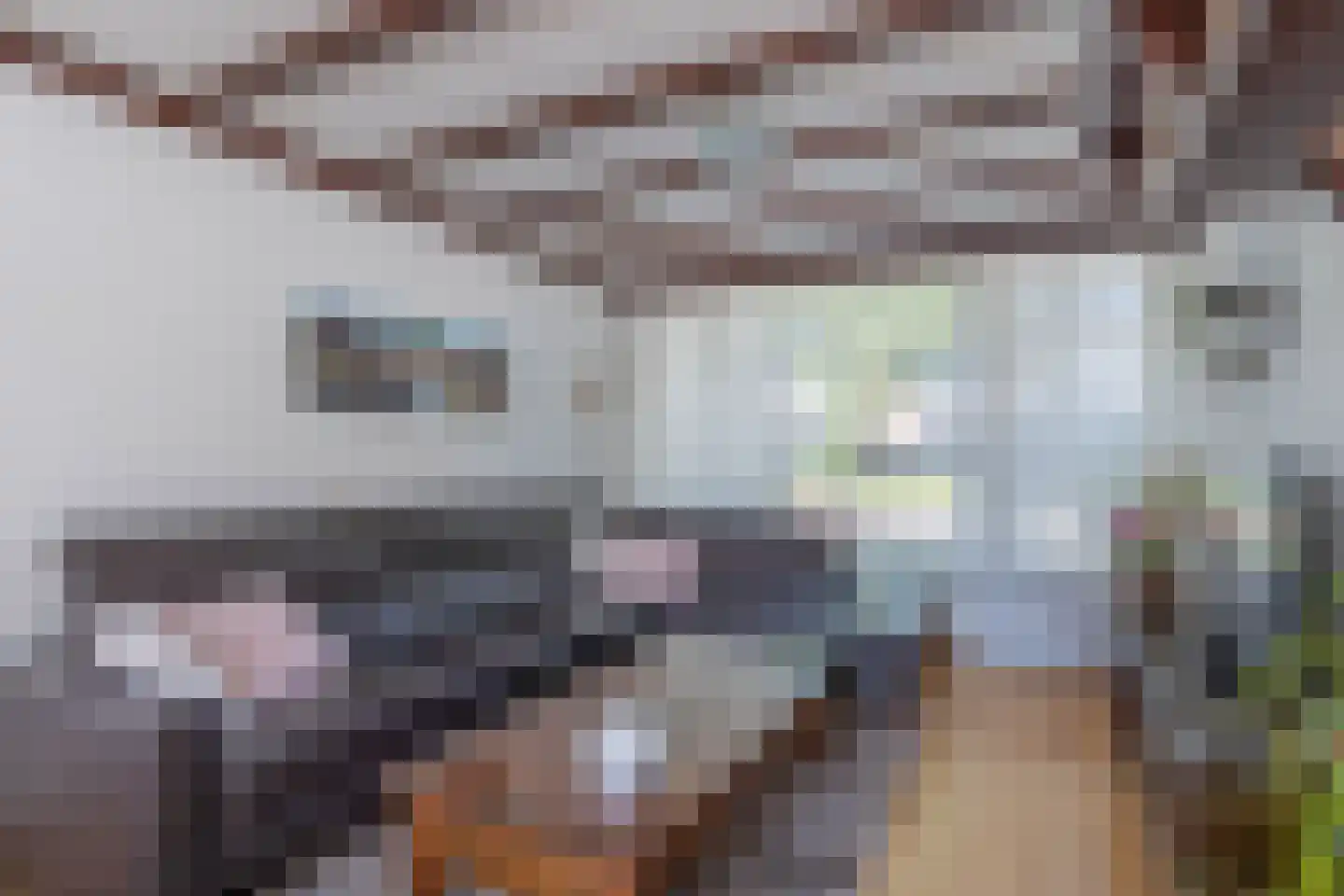 Kleine Beekstraat 20 Sint Anthonis thumbnail 26