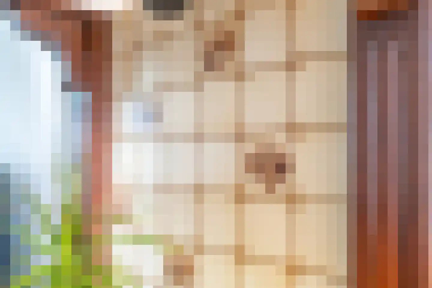 Kleine Beekstraat 20 Sint Anthonis thumbnail 29