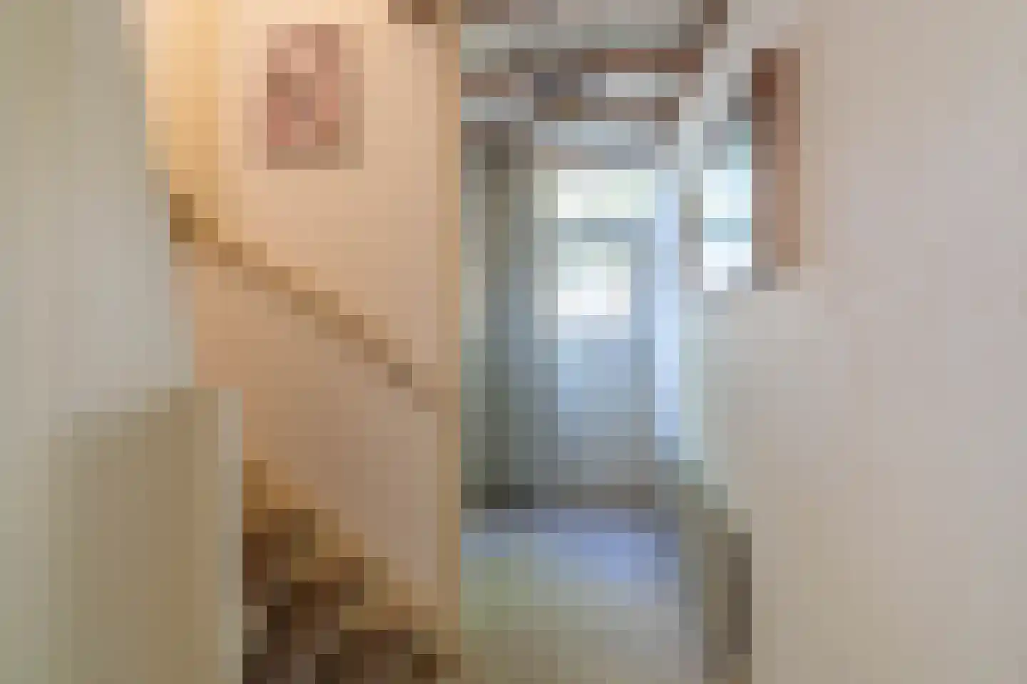 Kleine Beekstraat 20 Sint Anthonis thumbnail 30