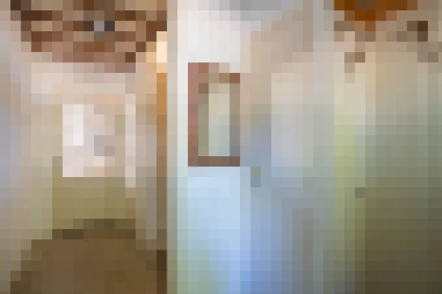 Kleine Beekstraat 20 Sint Anthonis thumbnail 32