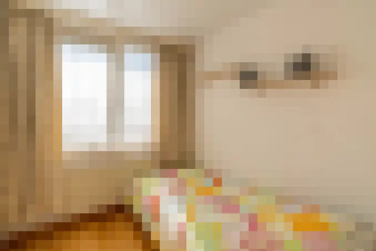Kleine Beekstraat 20 Sint Anthonis thumbnail 33
