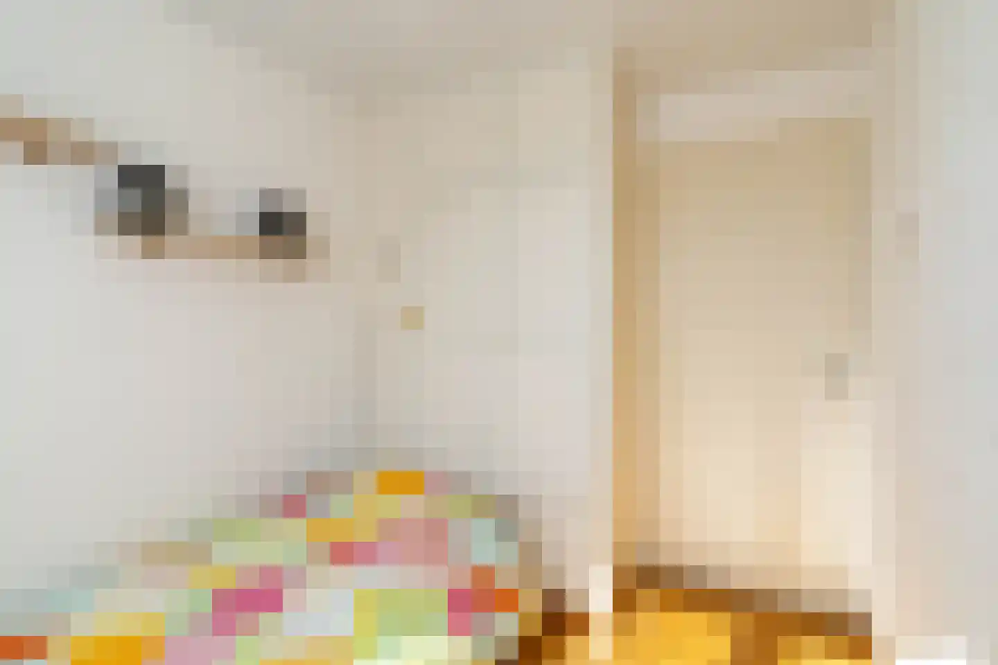 Kleine Beekstraat 20 Sint Anthonis thumbnail 34
